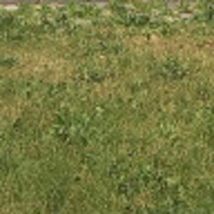 Meet your Posher, Eli